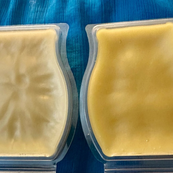 2 Hundred Acre Wood Scentsy Bars Disney - Picture 3 of 4